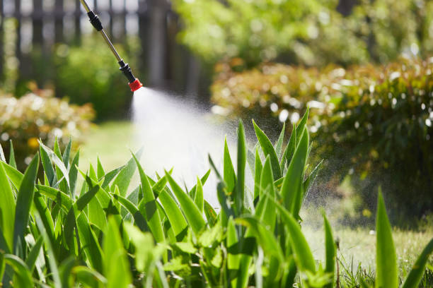 24/7 Emergency Mosquito Control experts in Olivehurst, CA
